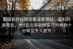 蘑菇影视在线观看深度揭秘：猛料风波背后，大V在火车站候车厅的角色十分罕见令人意外