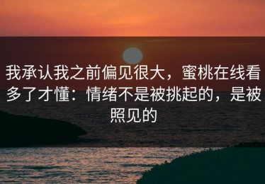 我承认我之前偏见很大，蜜桃在线看多了才懂：情绪不是被挑起的，是被照见的