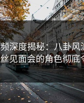 樱花视频深度揭秘：八卦风波背后，大V在粉丝见面会的角色彻底令人意外
