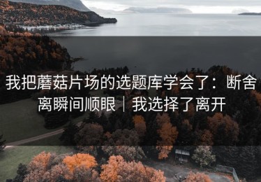 我把蘑菇片场的选题库学会了：断舍离瞬间顺眼｜我选择了离开