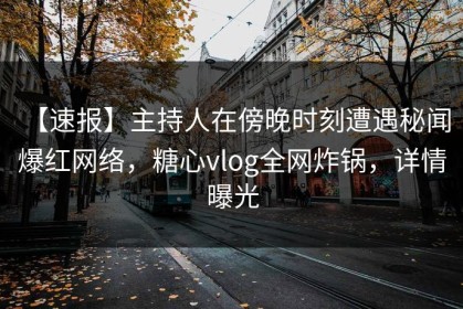 【速报】主持人在傍晚时刻遭遇秘闻 爆红网络，糖心vlog全网炸锅，详情曝光
