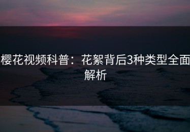 樱花视频科普：花絮背后3种类型全面解析
